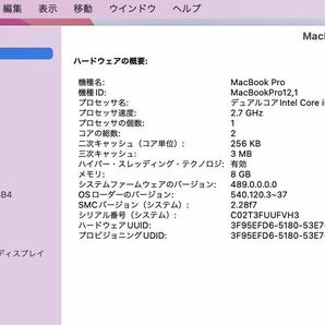 バッテリー交換済 Apple MacBookPro 13-inch Early2015 MF839J/A 中古 A1502 の画像10