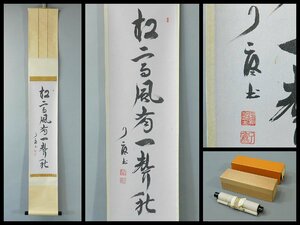 橘宗義(橘了庵)松高風有一聲秋 一行書 書作品 紙本 軸装 掛軸 共箱 二重紙箱 茶道具 茶掛 大本山大徳寺別院 徳禅寺住職 OK4432