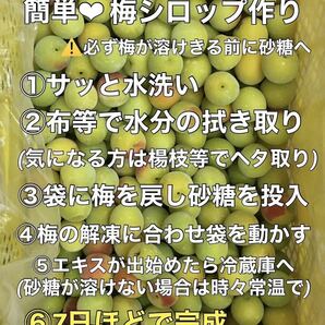 y307 冷凍クール便「冷凍南高梅」大玉３L 1kg 青梅 梅シロップや梅酒に最適（梅干し不可）和歌山の冷凍梅 キルトパッチ店（22）の画像6