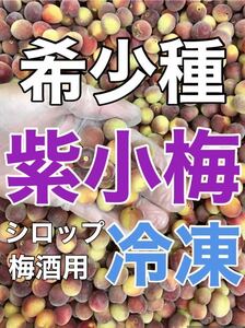 y314 クール便「冷凍紫小梅」2kg 青梅系　梅シロップ、梅酒、梅ジャム（梅干し不可）キルトパッチ梅店 （12）