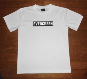 Ever Green Evergreen футболка box Logo короткий рукав dry дезодорант WHT M использование . почти не использовался прекрасный товар / автобус сейчас . combat искусственная приманка 