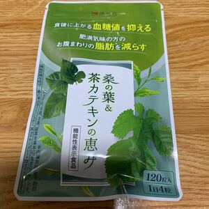 新品★和漢の森★桑の葉＆茶カテキンの恵み　2袋（計240粒）