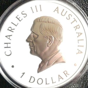 最新作 2024年版 カワセミ銀貨 純銀 9999 1オンス銀貨 オーストラリア 翡翠 の画像5
