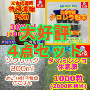 実績No1★送料安★生餌4点 ゾウリムシ300ml＆PSB300ml＆タマミジンコ休眠卵1000粒&粉末生クロレラ 針子稚魚めだか金魚グッピーバクテリア餌