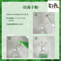 即日発送・送料安 植物性微生物 ミドリムシ500ml ユーグレナ 関連：めだかグッピーベタ金魚熱帯魚両生類など生クロレラグリーンウォーター_画像5