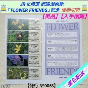 【美品】【希少品】 JR北海道 釧路湿原駅『FLOWER FRIENDS』入場券