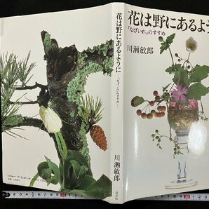 ｇ∞ 花は野にあるように 「なげいれ」のすすめ 著・川瀬敏郎 昭和59年初版 淡交社 /E04の画像1