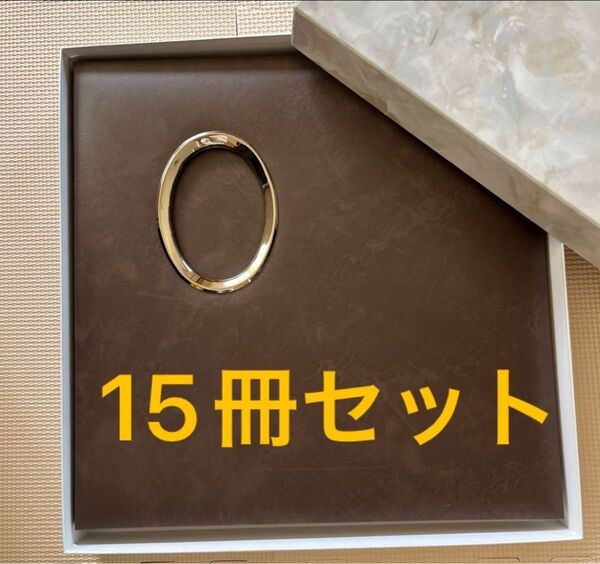 15冊セット スタジオマリオ 増やせるアルバム ブラウン 記念写真