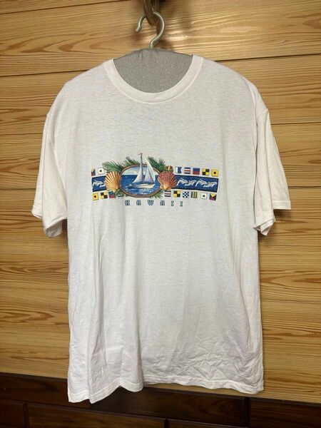 90's〜00's FRUIT OF THE LOOM Tシャツ　Lサイズ　カットソー　半袖　フルーツオブザルーム