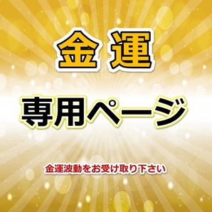 hagyu様 お試し金運60倍ストラップ22mm×感謝価格【財運】オルゴナイトストラップ 同梱値引き適用の画像1