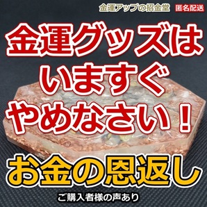 金運グッズはいますぐやめなさい！ お金の恩返し 金運風水八角形オルゴナイト13cm（お金・財布・スマホ浄化用）【金運アップの招金堂】2201