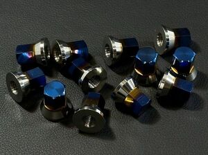 Z1 Z2. color 64 titanium cylinder head nut Z1000MK2 Z900 Z750FX1 Z750RS Z1R D1 Z series kz z1r bv1187