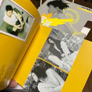 フェイ・ウォン 王菲 FAYE WONG 2CD+DVD 2003年 CINEPOLY 9812388 2枚組CD+ Bonus MD DVD 紙ケース入りの画像7