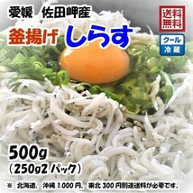 釜揚げしらす 500g （250g×2p）愛媛 佐田岬産 冷蔵便 浜から直送 無添加/無着色 送料込み 北海道/沖縄/東北は別途送料 宇和海の幸問屋_画像1