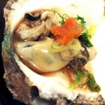 岩牡蠣 養殖 （350-450g×5個） 期間限定 4月中旬～5月末 送料無料 北海道/沖縄/東北は別途送料 宇和海の幸問屋_画像4