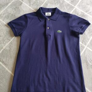 LACOSTE ポロシャツ