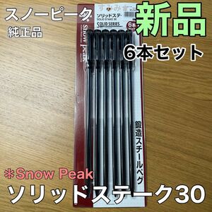 新品★スノーピーク（snow peak） ペグ 6本セット　ソリッドステーク 30 R-103 最強　鋳造ペグ　キャンプに