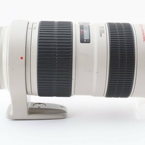 CANON EF 70-200mm F2.8 L USMの画像8