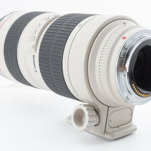 CANON EF 70-200mm F2.8 L USMの画像7