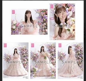AKB48未使用　柏木由紀　卒業記念　生写真　柏木由紀卒業コンサート 卒業ドレス特別衣装
