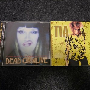 Dead Or Alive Unbreakable Fragile Remixes デッド オア アライブ TIA ABSOLUTELY 2枚セット MAHARAJA マハラジャ ディスコ 80's EUROBEATの画像1