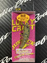 【新品未使用】 LUCKY CRAFT ラッキークラフト WAH ワウ 40F HFG2 ハイフロート オリオリRG オオツカ オリカラ 40FHFG2 HF G2_画像2