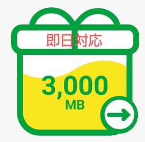 【3ギガ】mineoパケットギフト　3000Mb