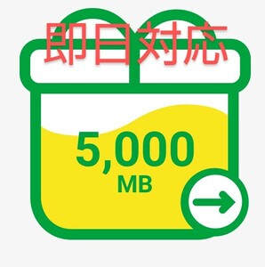 【5ギガ】mineoパケットギフト　5000Mb