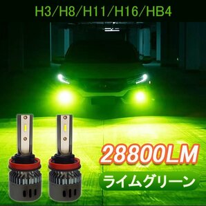 LED 高輝度 爆光 H3 h8 h9 h11 h16 hb4 グリーンイエロー ライム アップルグリーン 緑 レモン 12V 24V ライムグリーン ライムイエローの画像1