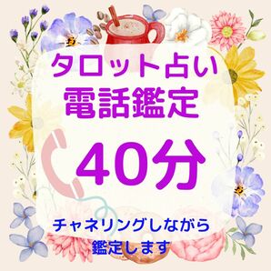 タロット占い　電話鑑定40分　占い放題　恋愛　お相手の気持ち　不倫　仕事　転職