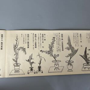 蔵出し品 大正十年発行 生花極秘開傳之卷 大日本華道研究會師範梅玉齋 花道 古文書 の画像10