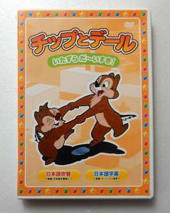 * chip . Dale *DVD*[ mischief .~ chair .!]*