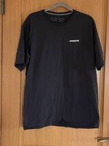 patagonia パタゴニア Ｔシャツ _画像2