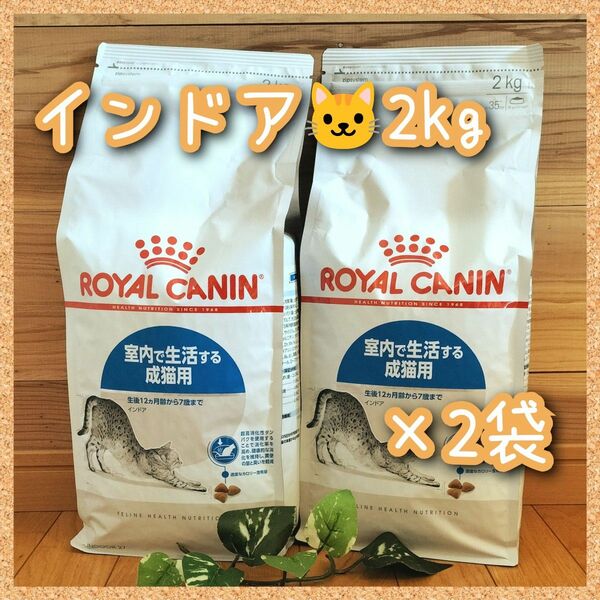 ロイヤルカナン猫用　インドア　2kg×2袋