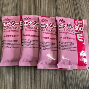 エナジー500（20g×6包）×1個