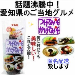 お取り寄せ 名古屋名物 つけてみそかけてみそ 