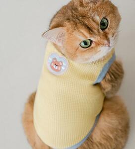  pet clothes * dog clothes * cat clothes yellow S size [ spring summer ]