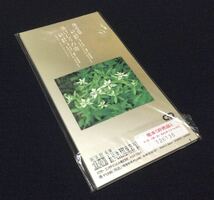 即決 8cm CDシングル 森進一 薄雪草 未開封 見本品 8センチ CDs_画像2