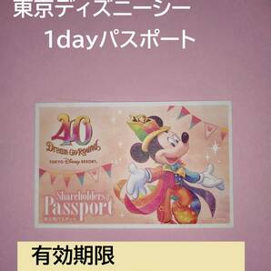 東京ディズニーランド/東京ディズニーシー パスポート 入園予約 チケット ワンデー  有効期限：2024年6月30日 の画像1