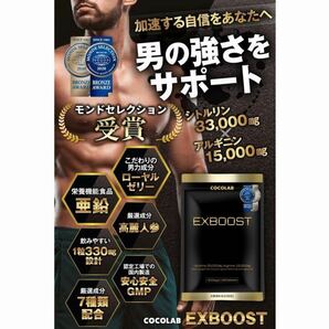 EXBOOST 180粒 シトルリン アルギニン 亜鉛 マカ メンズサプリ イーエックスブースト コンドーム ローション ソフォン アカガウクルア 増大の画像4