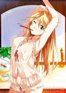 Dies irae ベアトリス パジャマタペストリー character1 2016 限定品 B2 イラスト