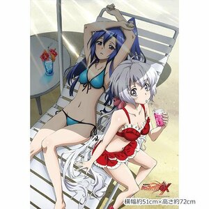 戦姫絶唱シンフォギアGX 描き下ろし B2 タペストリー 風鳴翼＆雪音クリス 水着 限定品 イラスト