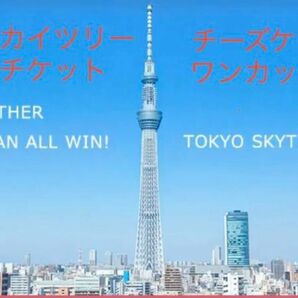 東京スカイツリー入場券（2枚）