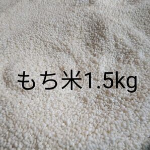 令和5年度産もち米 1.5kg