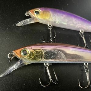 DUEL デュエル HARDCORE ハードコア MINNOW flat ミノーフラット 110F 95F セットの画像2