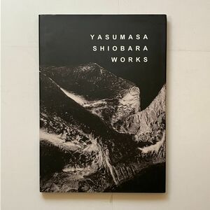 塩原康正　彫刻作品集 2012年　☆創美展 モダン 近代美術 ブロンズ 人物 人体 裸婦 図録 作品集　11いy