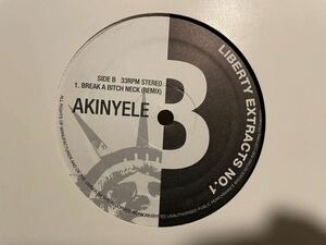 Akinyele Break A Bitch Neck Kool G Rap Large Professor Remix Liberty Extracts No.1