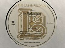 USオリジナル　Big Daddy Kane Veteranz Day LP_画像5