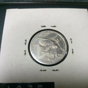 ニューギニア１シリング銀貨１９３８年      パプアニューギニア硬貨の画像9