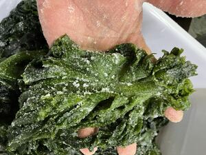 送料無料 3500円　福岡県産完全手作り　『　塩蔵天然わかめ2kg　』　塩ワカメ塩蔵　わかめ　フコイダン豊富　